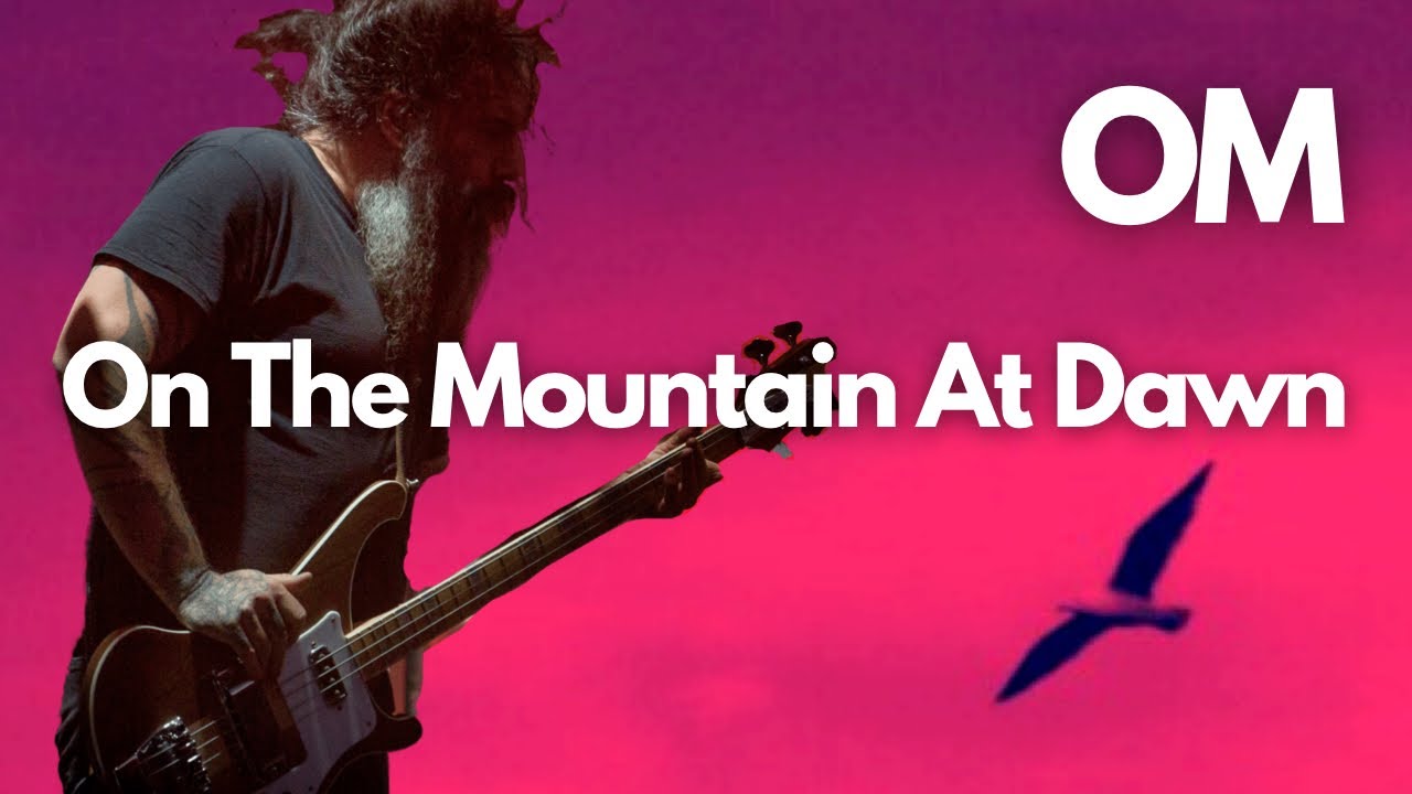 Bass Boosted Playthrough + Bass TAB // On The Mountain At Dawn by OM