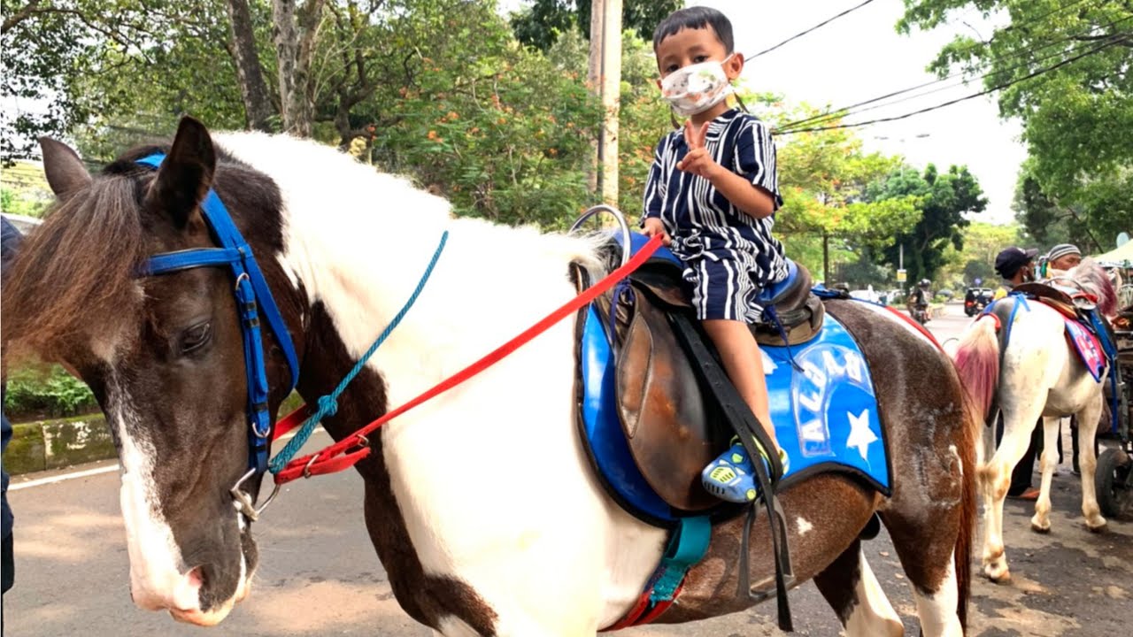 Nathan naik kuda lagi | kuda Bandung | lagu anak populer naik kuda delman istimewa