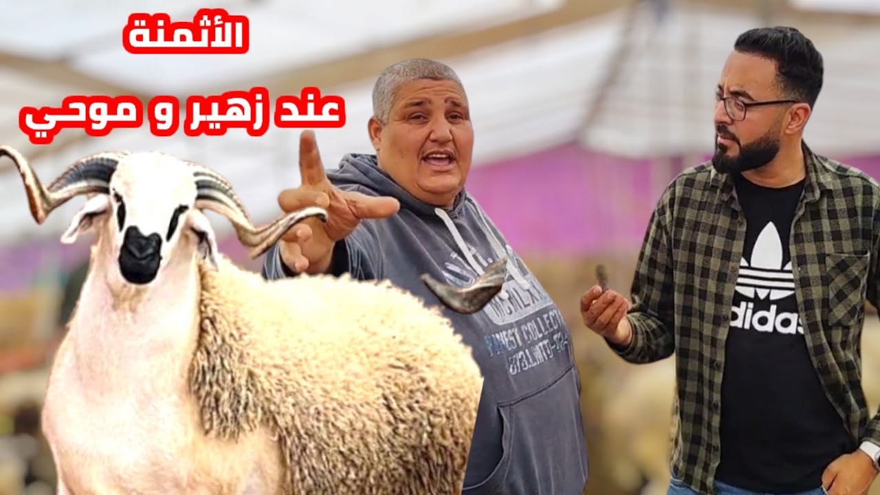 إنطلاق عملية البيع عند زوهيـر و مـوحي بـ الناظور شـاهدو الأثمنة مع تصريحات المواطنين Nador