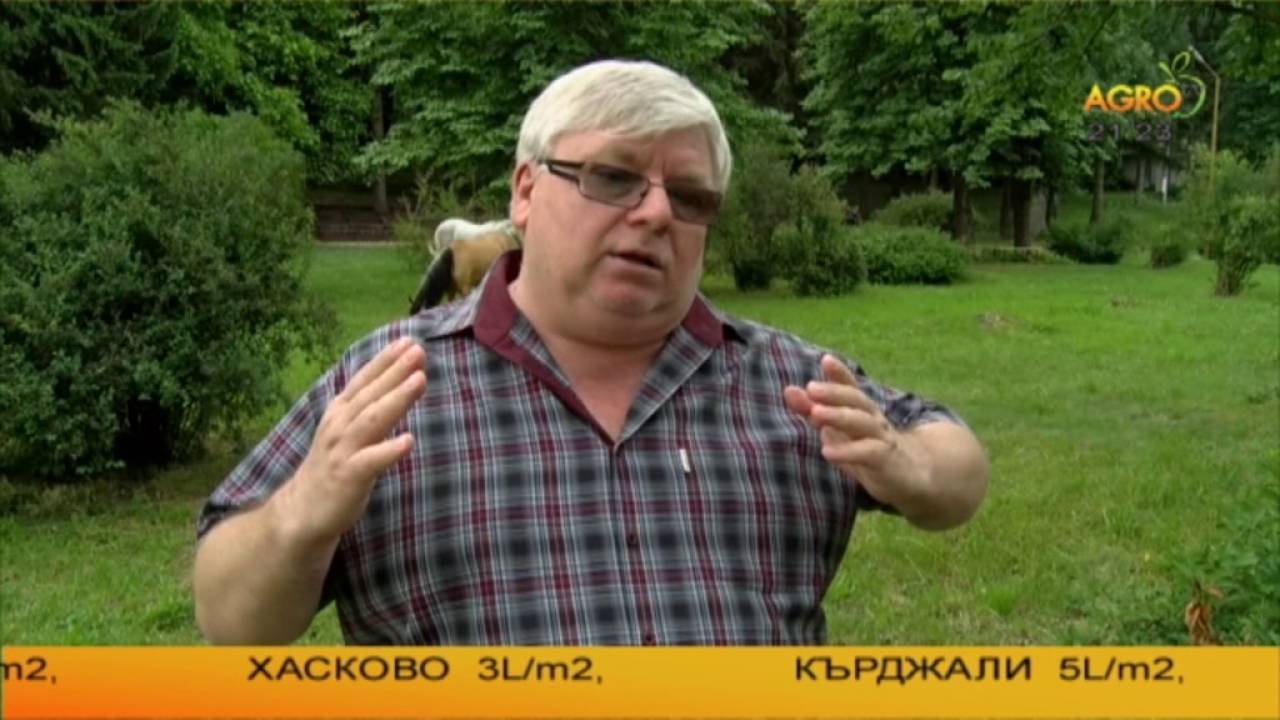 Трети фестивал на местните породи животни в Чупрене