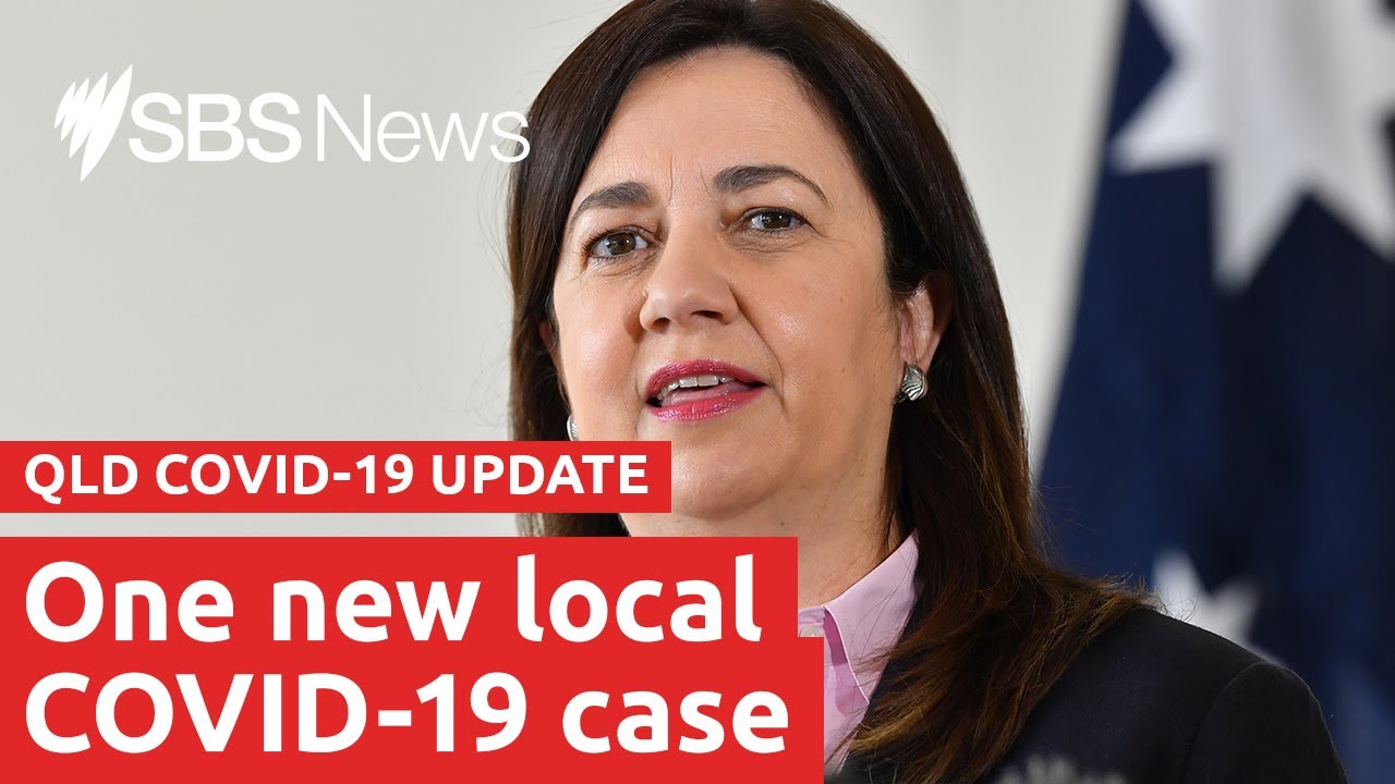 Watch: Queensland COVID-19 update | SBS News