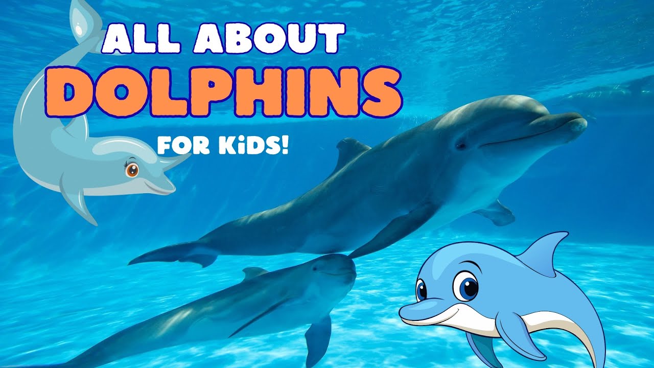 The Ultimate Dolphin Learning Video for Kids | Dolphins Explained for Kids | Educational & Fun! 🐬