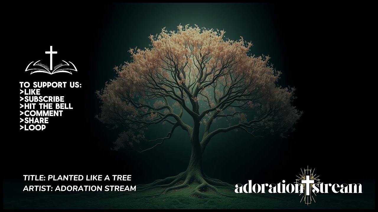 PLANTED LIKE A TREE | Adoration Stream #adorationstream #prayersongs #gospelmusic #faithmusic