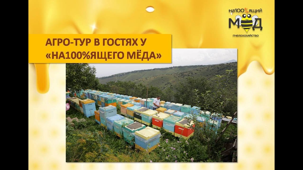 Доход от туристов больше чем от продажи мёда – опыт Казахстана. Коновалов П.П.
