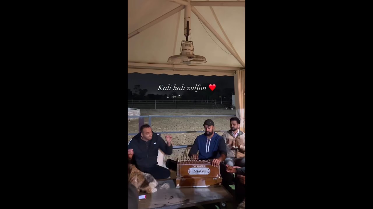 Kali Kali Zulfon&nbsp;❤ (Full video song) 4k  | PatialaMehfil | #patialamehfil #songs #trending