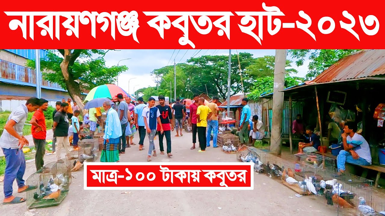 নারায়ণগঞ্জ কবুতর হাট-২০২৩ | Narayanganj kobutor hat | pigeon market in bd   | Sonakanda kobutor hat