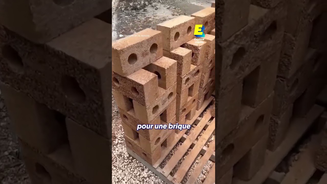Belle transformation des algues en briques.  