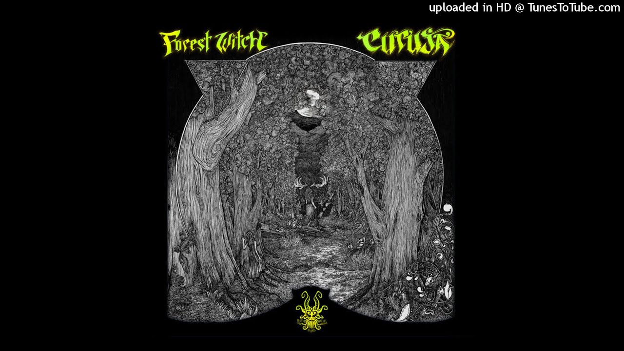 Curuja - Digital Amplifier