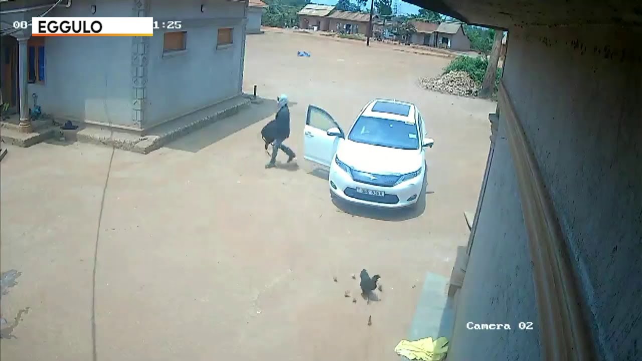 Agataliikonfuufu Ebipya bizuuse ku bavubuka abaakwatiddwa olw’okubba obukadde 150 ku musuubuzi wemmw