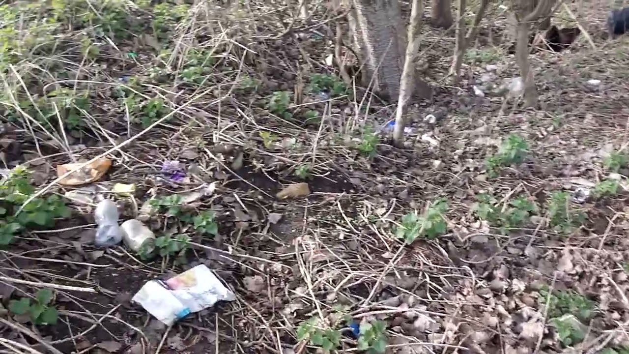 Peterborough Clean Up Campaign. North Bank Part Fly Tip Removal