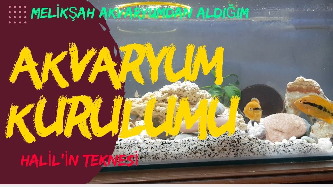 En uygun Fiyatla, Ucuz a Akvaryum Kurulumu !!!
