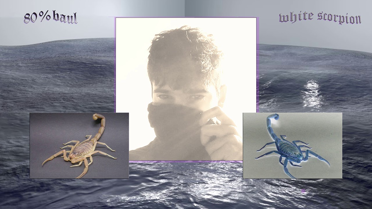 80%baul - white scorpion (full tape)