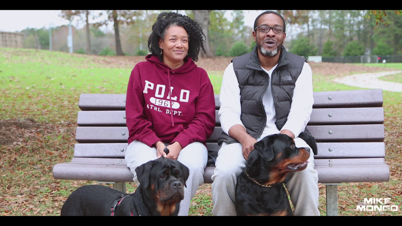 #Rottweiler Vlogs Ep. 119 Mizzo & Mack (Mrs. McCarthy w/Honey & M'Baku) Pt. 2
