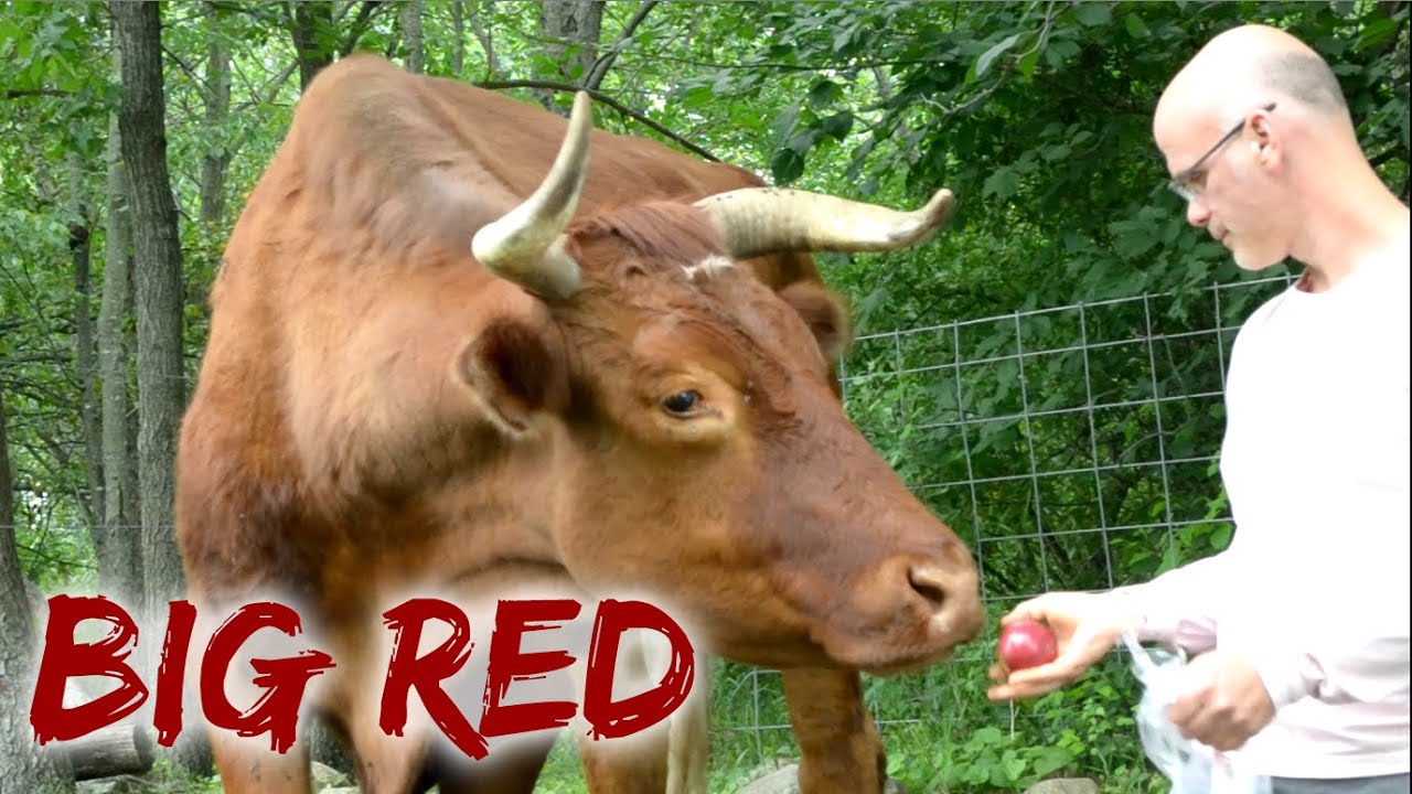 Big Red’s House! - Gary Yourofsky visits the Garden of Vegan