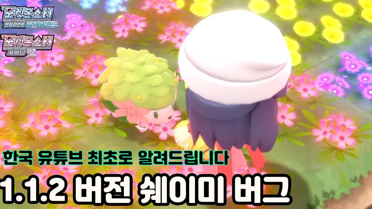 1.1.2 버전 쉐이미 버그 등장! 미쳤다 ㅋㅋㅋㅋㅋㅋㅋ [브다샤펄]