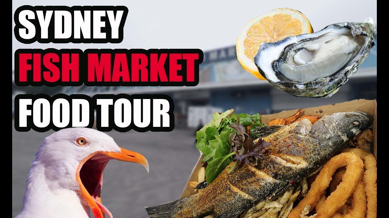 Is the SYDNEY FISH MARKET WORTH A VISIT? - Food Tour + Must Do's & Don'ts |  Australia 2019
