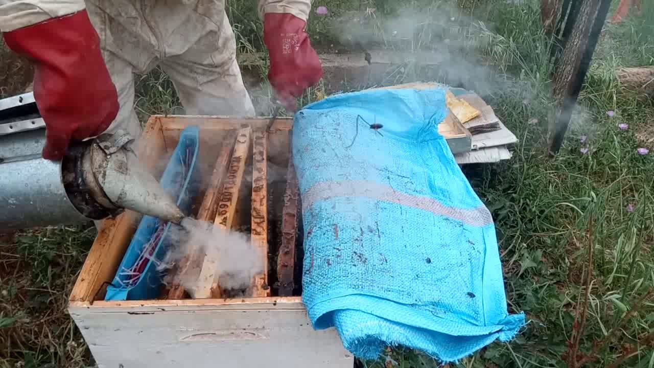 طريقة فحص  خلية النحل بشكل  سريع ورائع