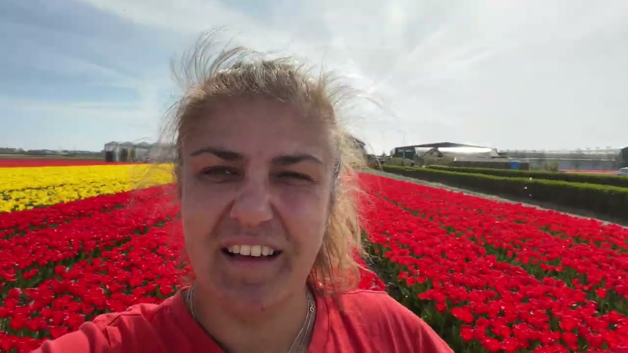 Tulpenblüte und Campingplatz Vlugtenburg
