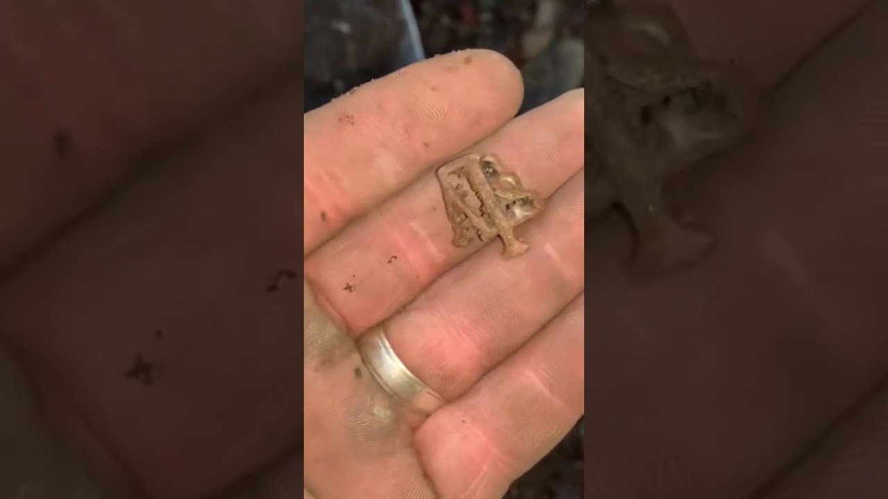 Ats military badge found metal detecting scotland for river treasure