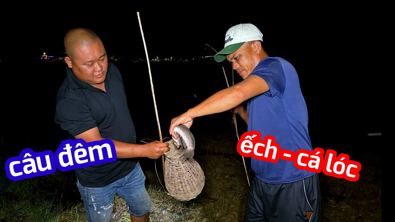 Cắm Câu Cá Lóc Và Ếch Đồng Làm Nồi Cháo Ấm Lòng Đêm Khuya | Son Duoc Vlog 217