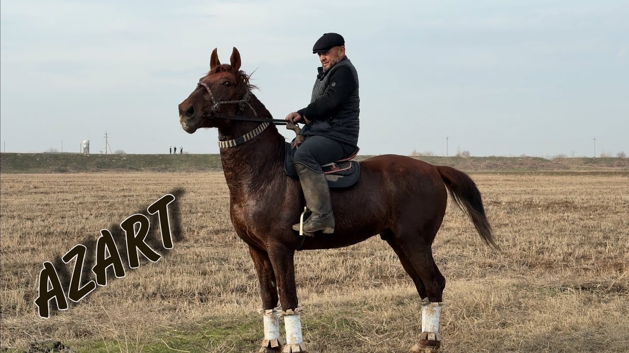 AZART KUCHLI ULOQCHI OT SOTILADI
