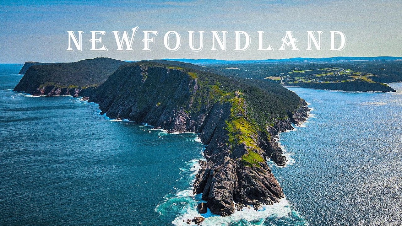 NEWFOUNDLAND ROAD TRIP