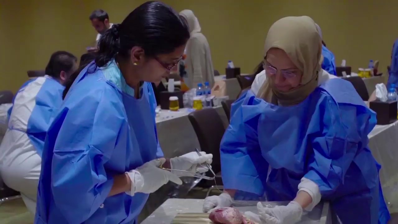 Perineal Repair Workshop