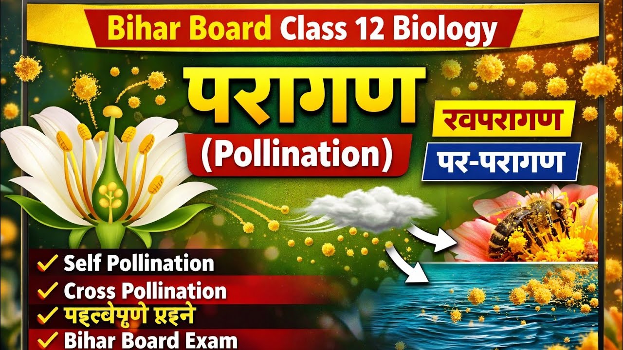 Sexual Reproduction in Flowering Plants | Pollination (परागण) Full Chapter Explained | Class 12 🔥