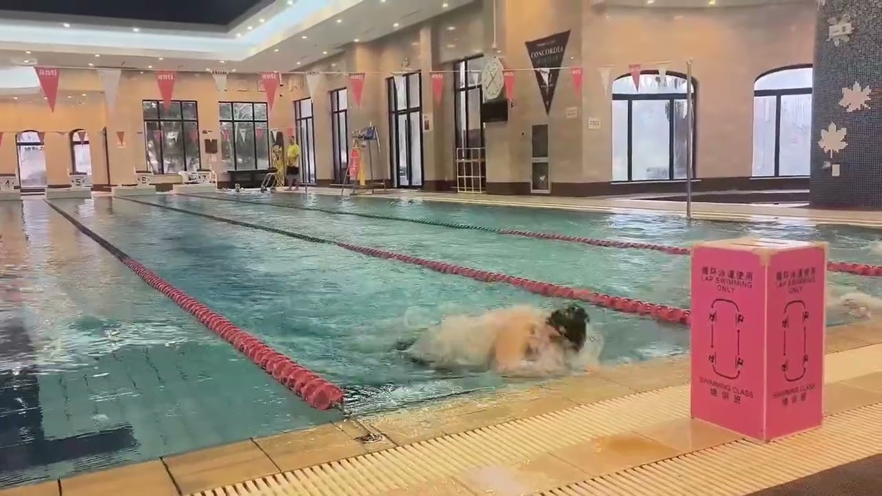 Haosun Xu  - College Swimming Recruiting Video (Fall 2027)