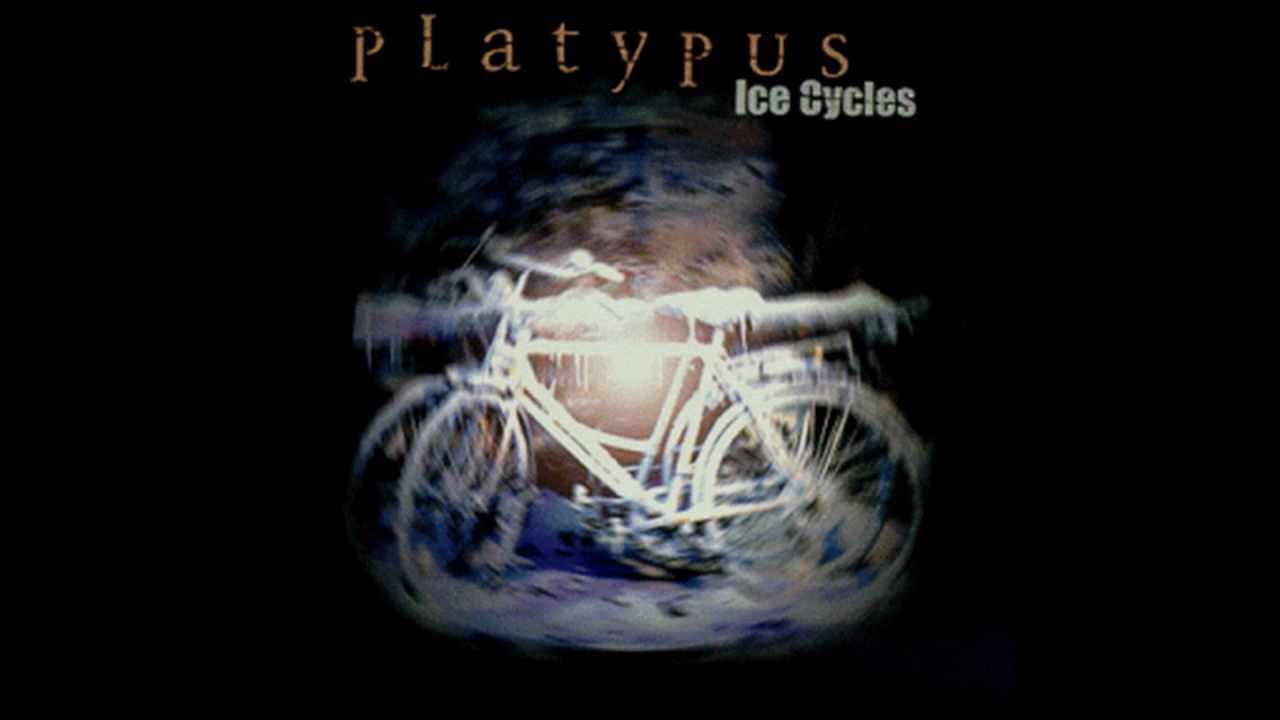 Platypus - Ice Cylcles - I need you