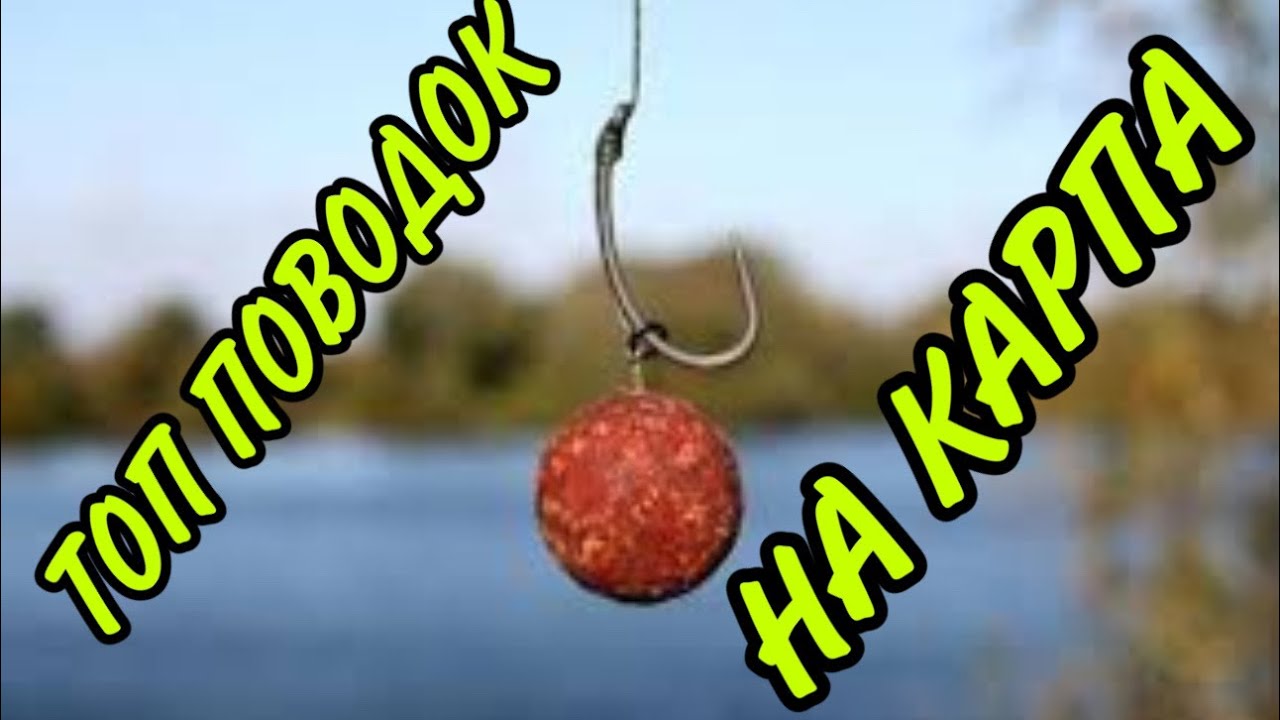 ТОП ПОВОДОК НА КАРПА!!!
