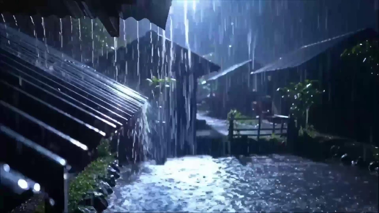 Dark Night Rain on Tin Roof ASMR | Relaxing Storm Ambience for Deep Sleep and Calm Mind 208