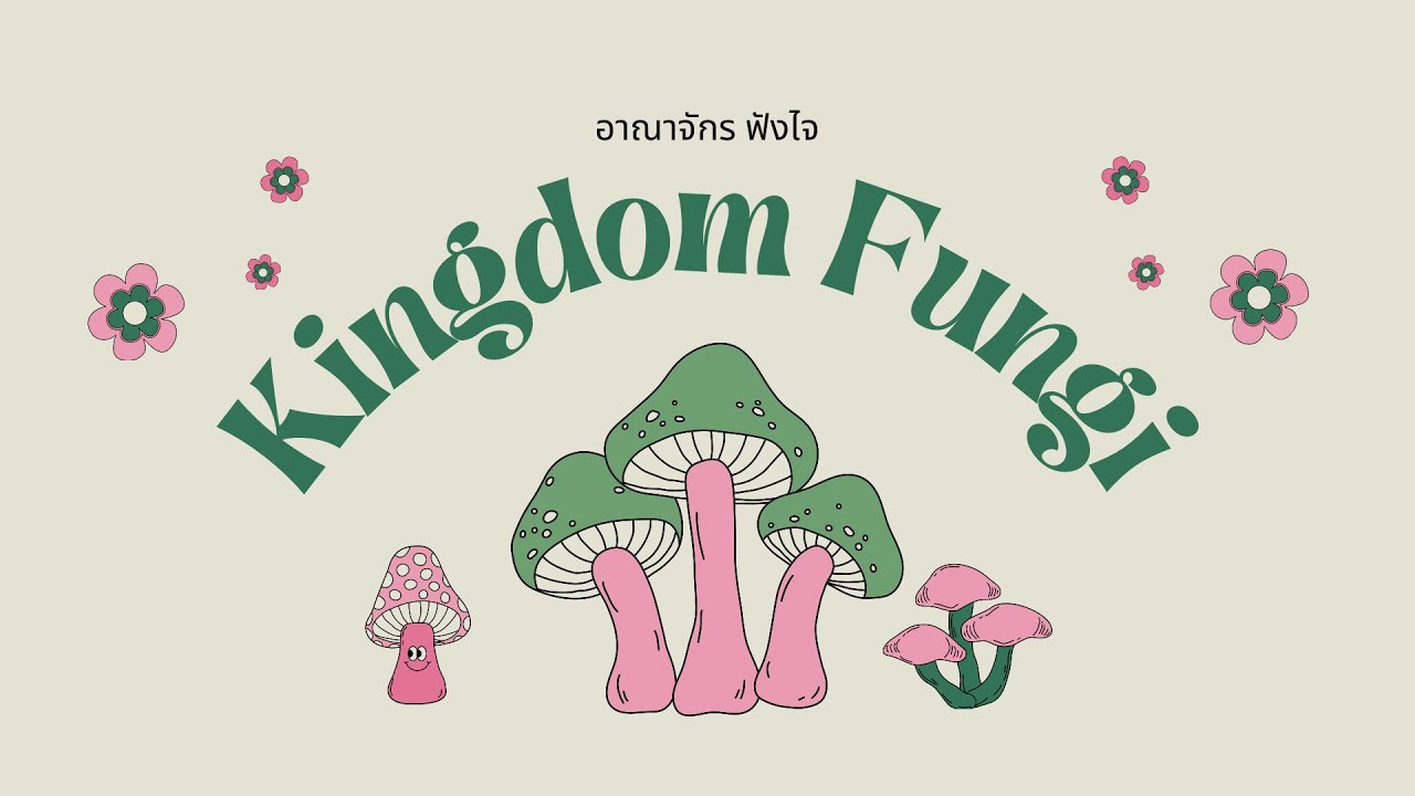 อาณาจักรฟังไจ Kingdom Fungi สรุปย่อๆ