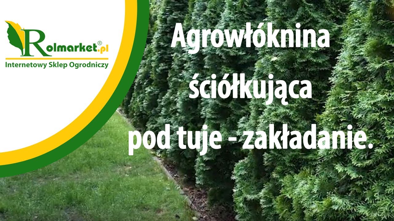Agrowłóknina pod tuje – zakładanie agrowłókniny ściółkującej przeciw chwastom | Rolmarket.pl