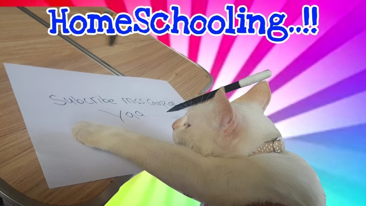 Horee..!! Kucing Miss Cemplon Home Schooling, akhirnya bisa menulis! || Drama anak sekolah