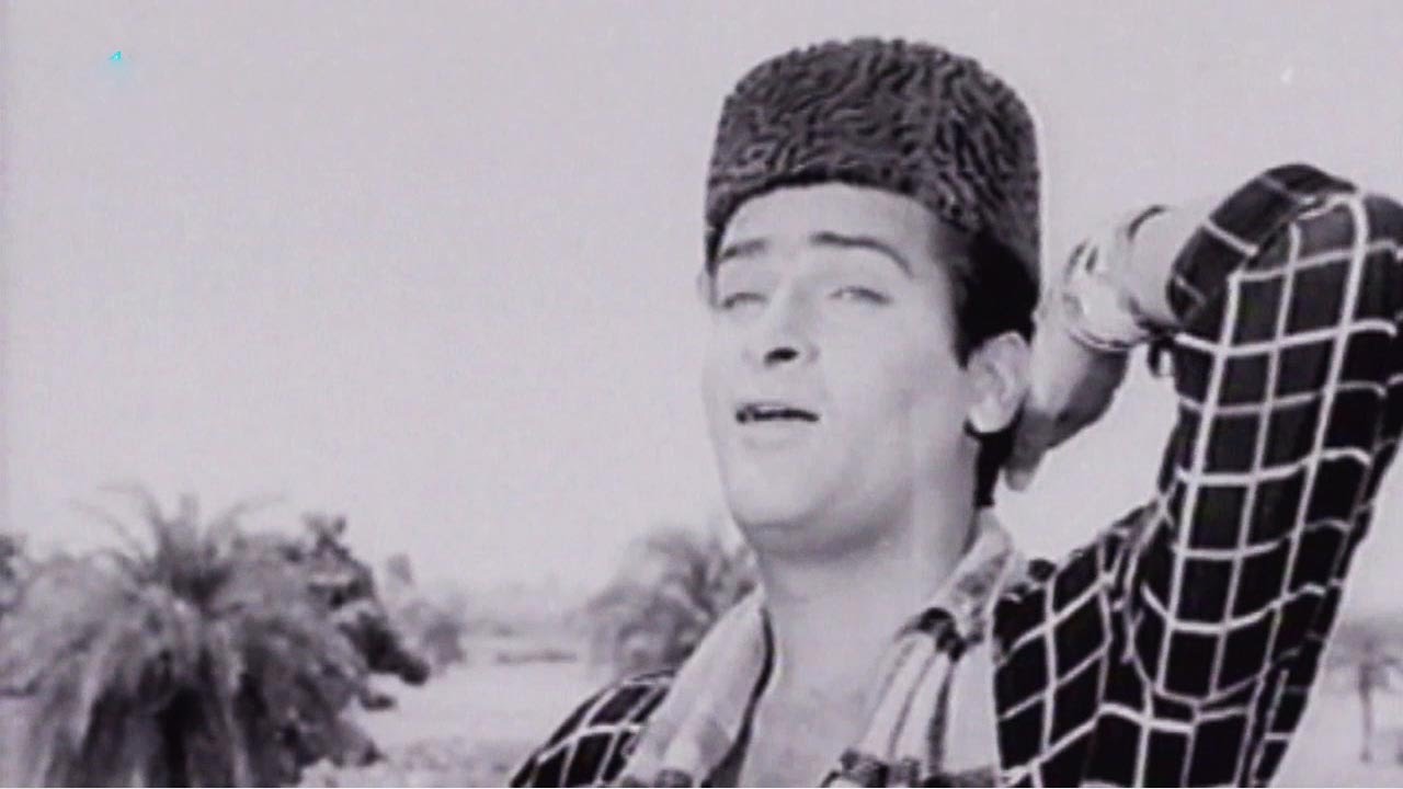 Sar Par Topi Lal - Shammi Kapoor, Ameeta, Tumsa Nahin Dekha Song (Duet)