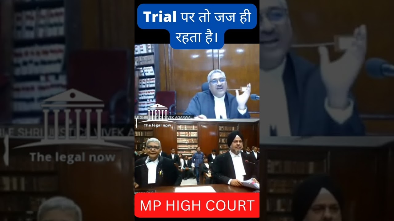 Funny moments in High Court. MP HIGH COURT LIVE STREAMING #shorts