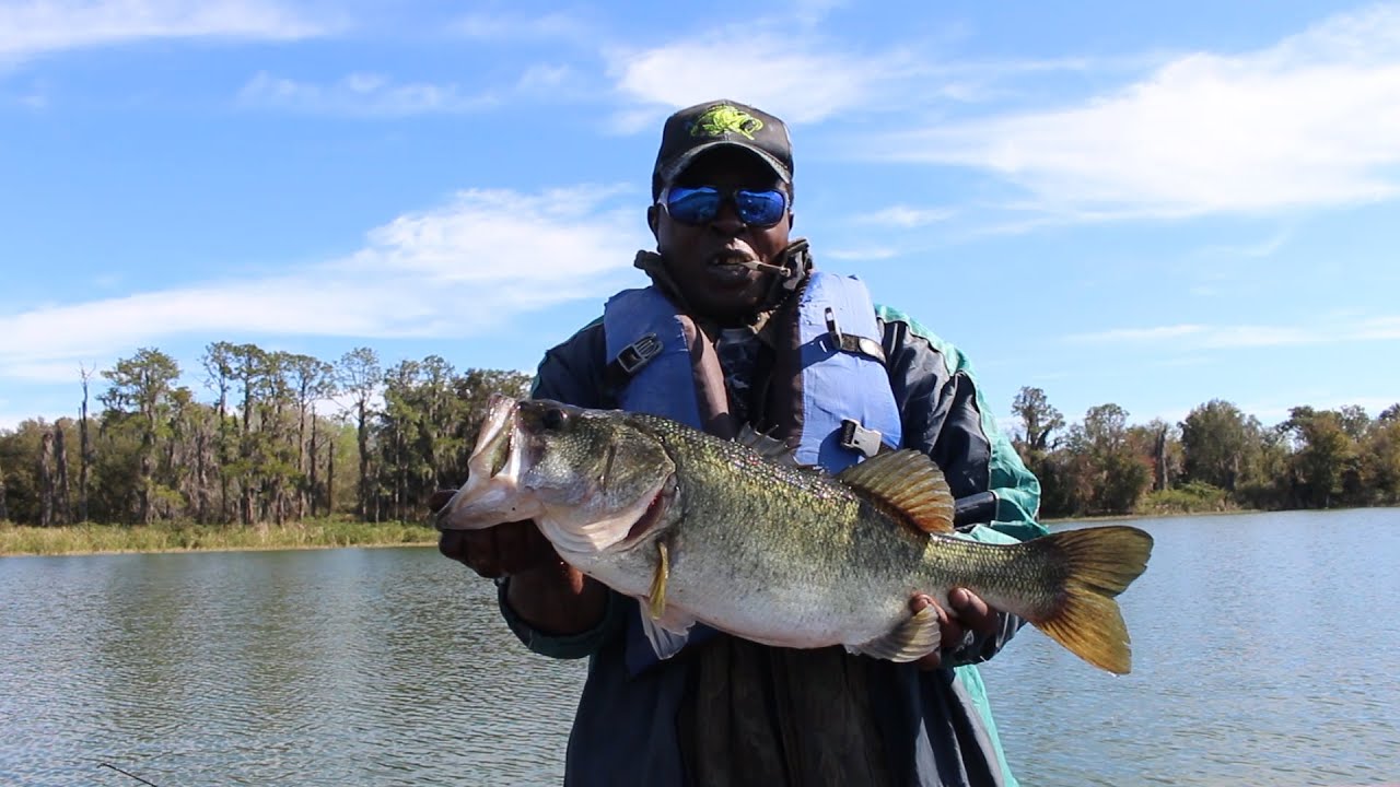 Lake Parker, Lakeland Florida Biggin