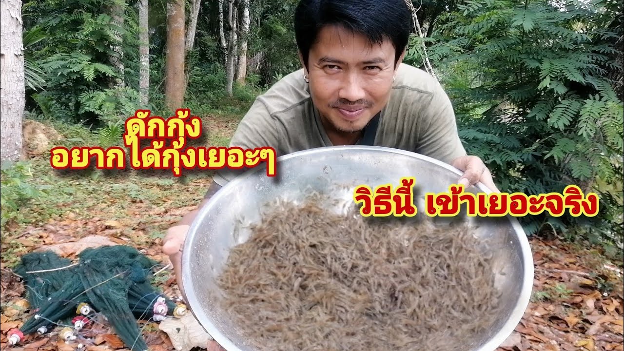 ดักกุ้งเข้าแบบเยอะๆ..วิธีการดักมีอะไรบ้างมาดูกัน