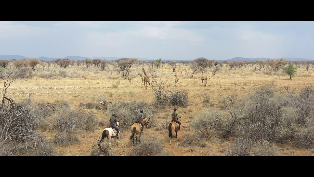 Horseback safari in Namibia – discovering the savannah in the saddle