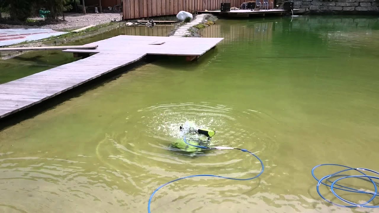 Dolphin Bio
