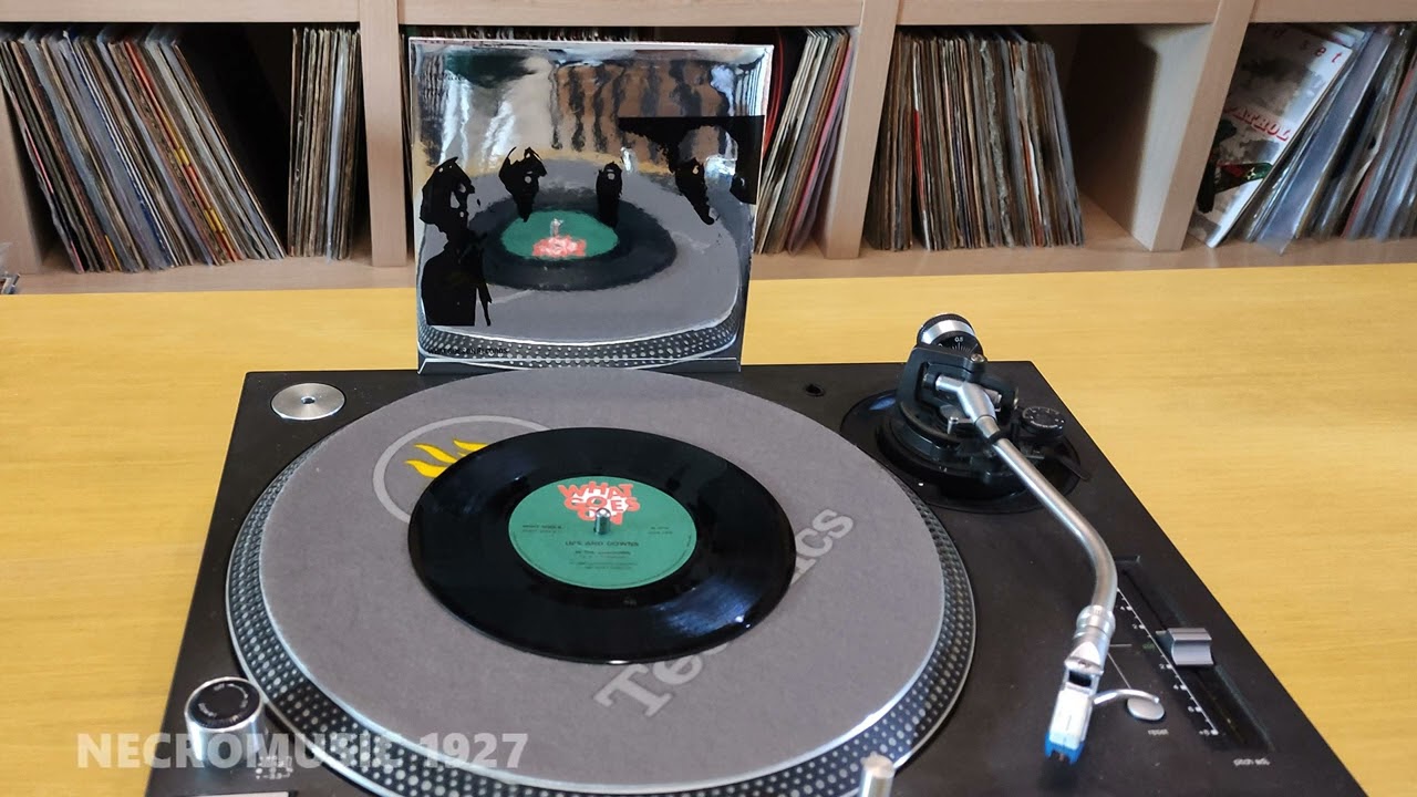 Ups And Downs | In The Shadows (12