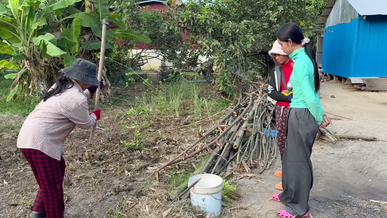 To keep my plants healthy, I water my garden every day