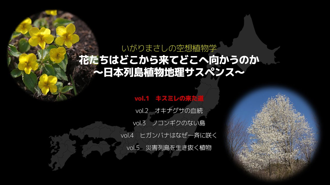 いがりまさしの空想植物学【 vol.1　キスミレの来た道】