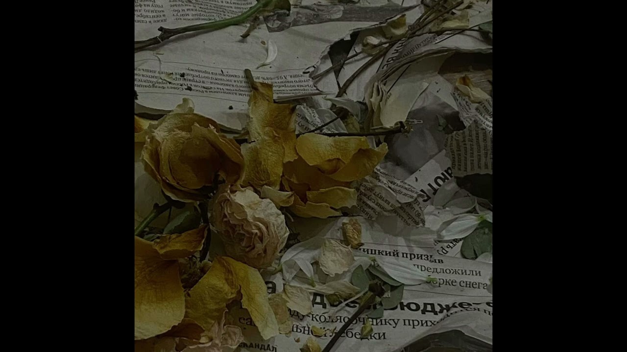 PRESERVATION - opaliter