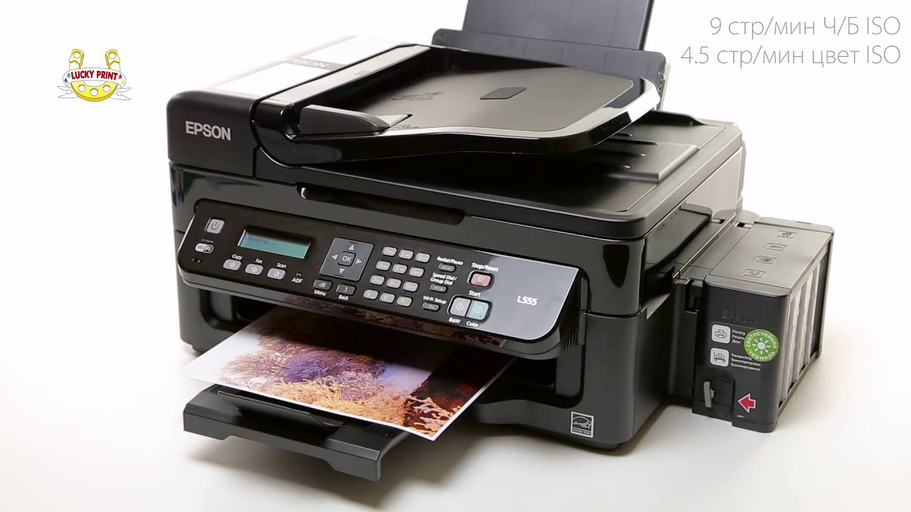 Обзор МФУ Epson L555