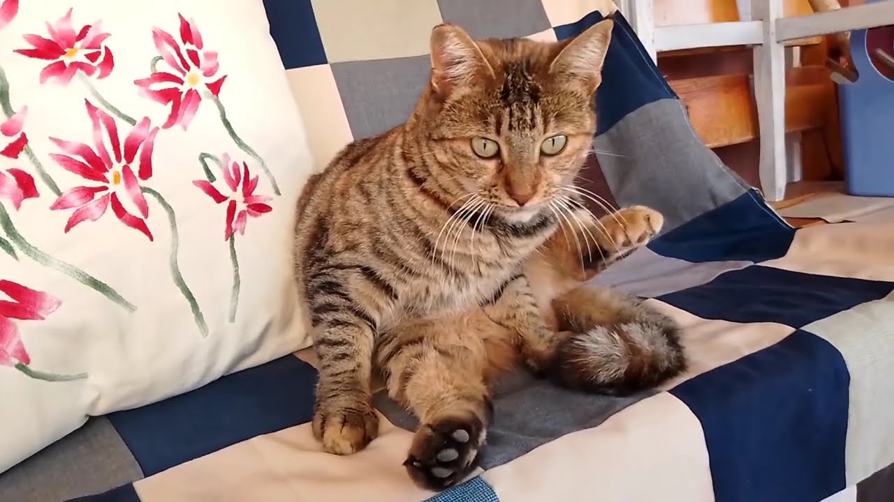 Nihayet Evimizdeyiz