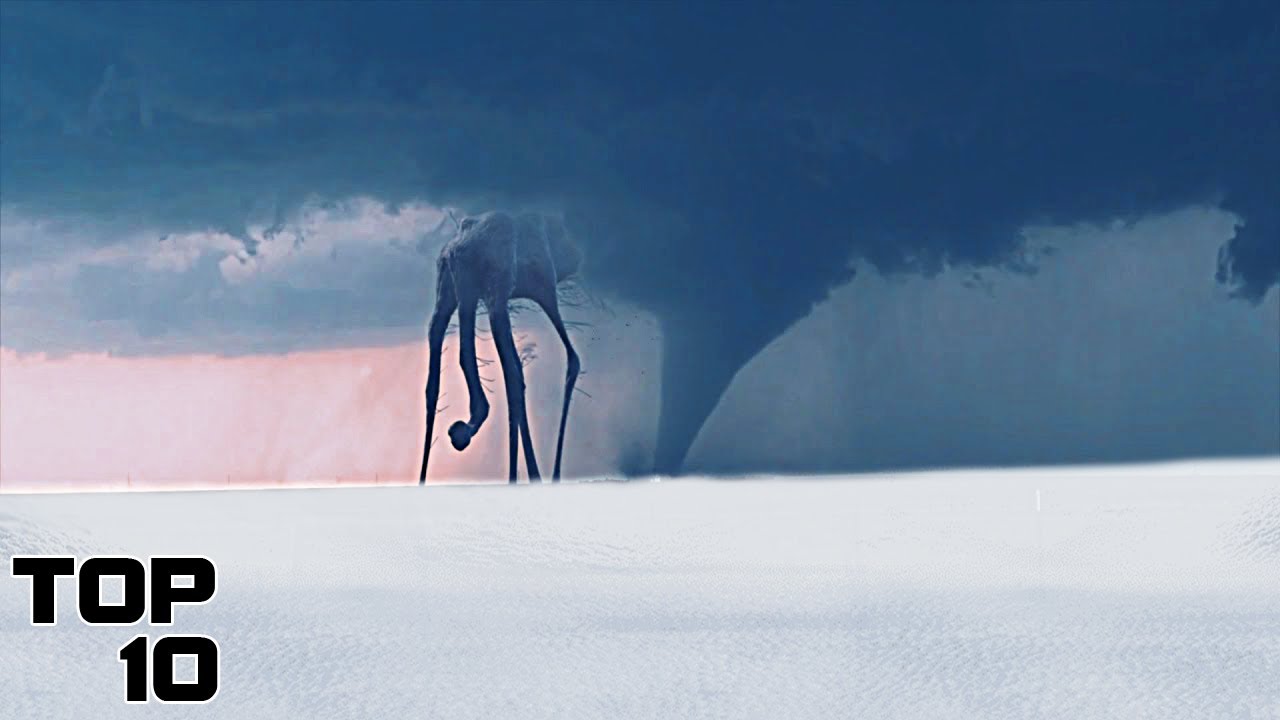 Top 10 Bizarre Creatures Found In Antarctica