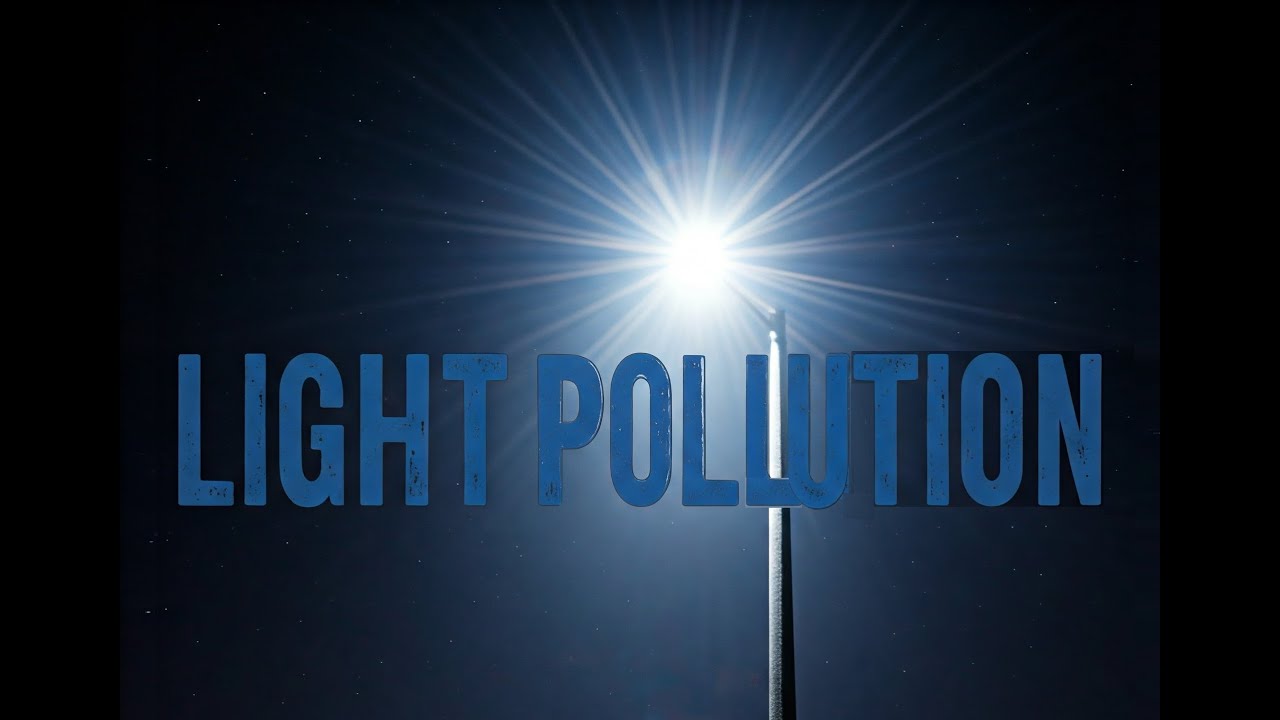 Light Pollution: The Economic and Environmental Impact and What You Can Do About It