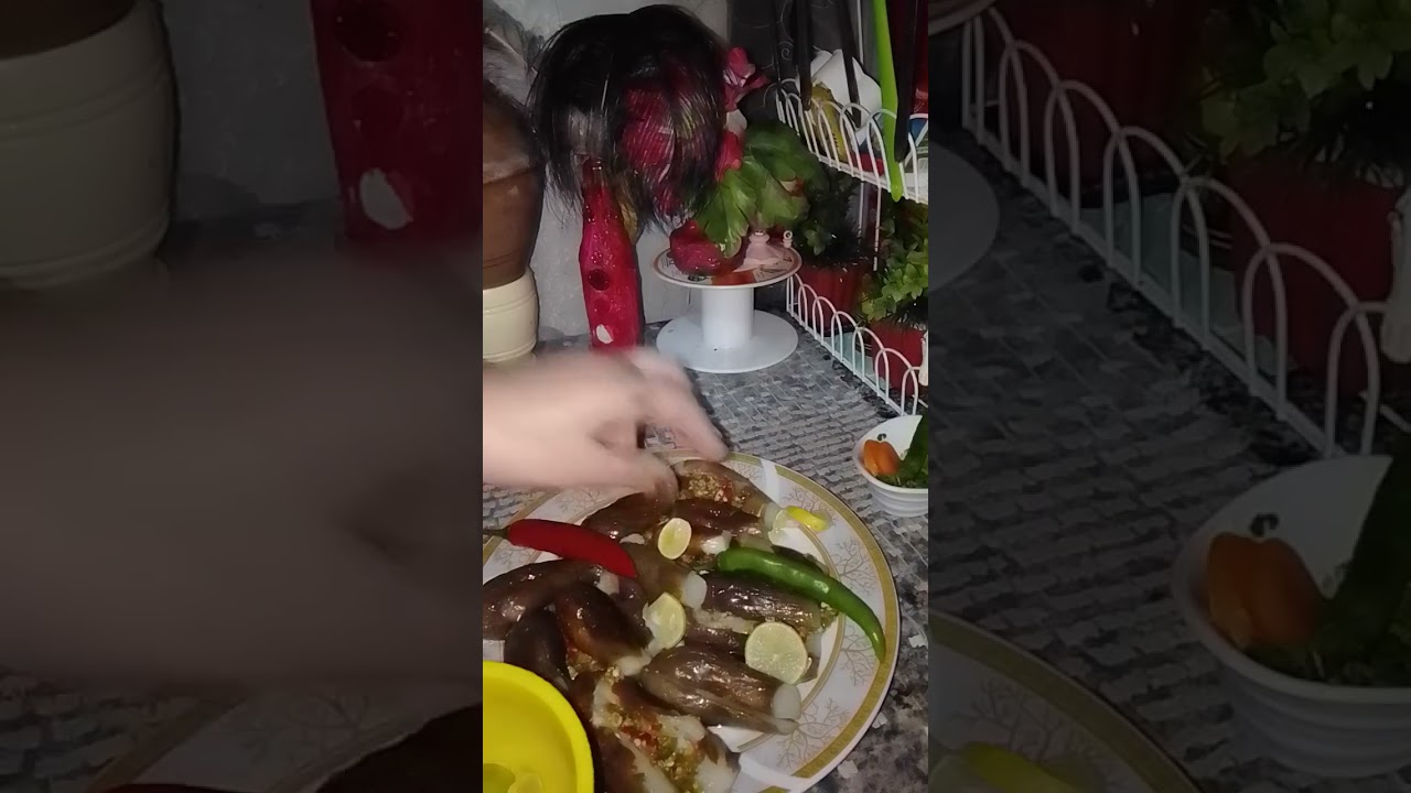 ١٥ أكتوبر ٢٠٢٥